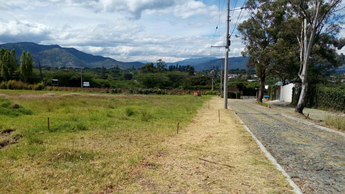 En Venta Lotes de 2500 m² Dentro de Urbanización en Tumbaco Las Peñas — imagen 7