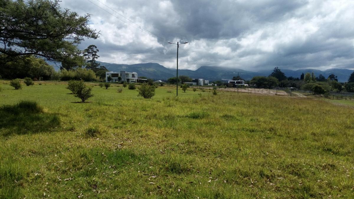 En Venta Lotes de 2500 m² Dentro de Urbanización en Tumbaco Las Peñas — imagen 6