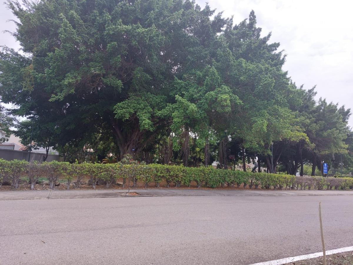Vendo Terrenos Uní Familiares en Puerto Azul Desde 244 m Hasta 1675 m², Guayas — imagen 7