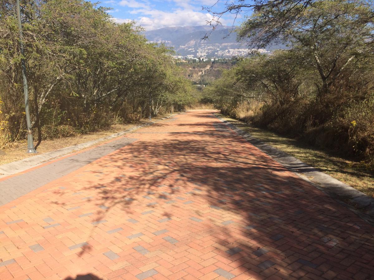 Espectacular Terreno Ubicado Dentro de Viña del Río — imagen 4