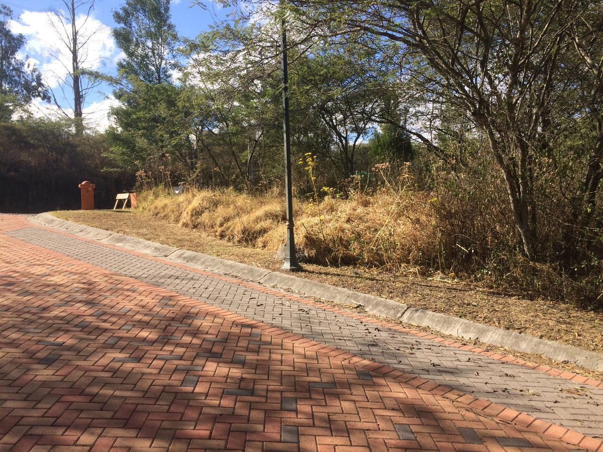Espectacular Terreno Ubicado Dentro de Viña del Río — imagen 2