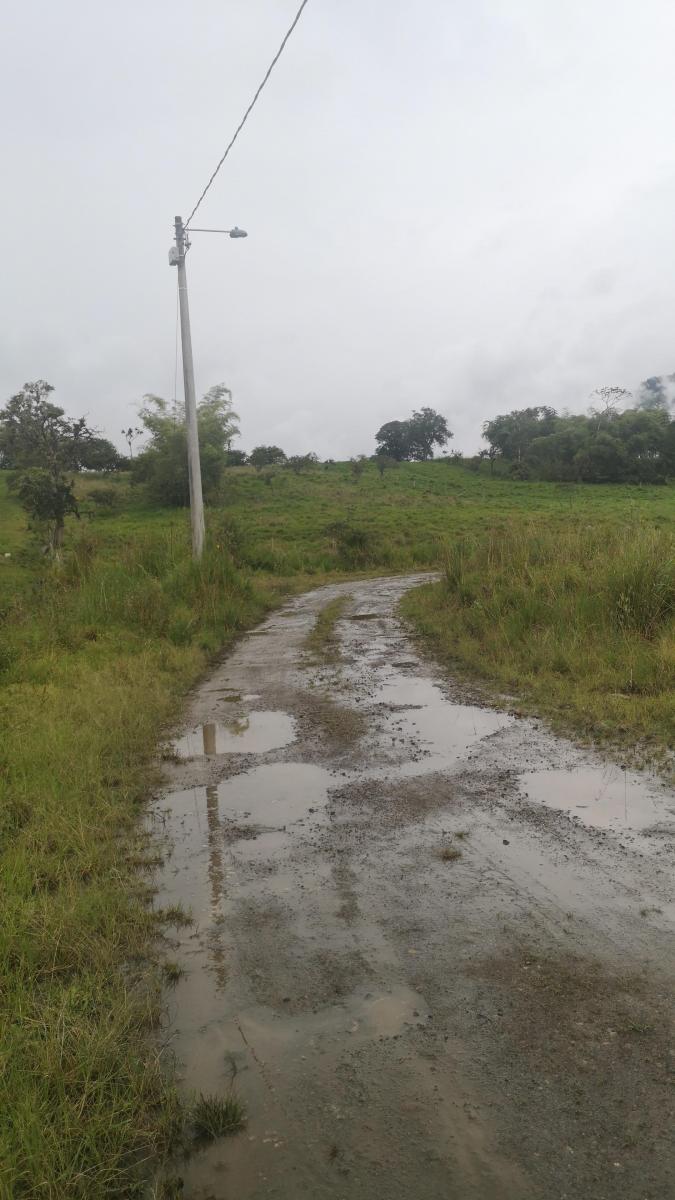 Vendo Terreno en Borja - 2 Hc San Jose, Napo — imagen 3