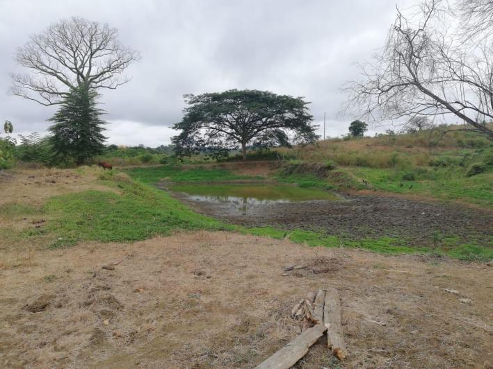 Vendo Propiedad, Vía a La Costa, Embalse Chongon, Guayas — imagen 10