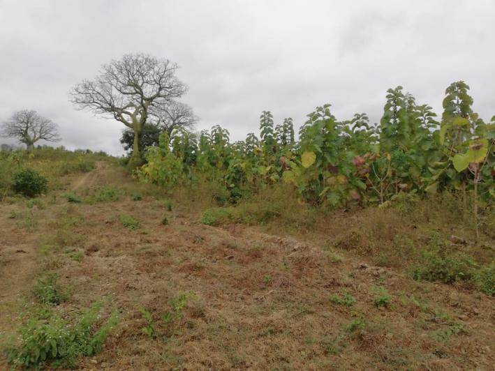 Vendo Propiedad, Vía a La Costa, Embalse Chongon, Guayas — imagen 8