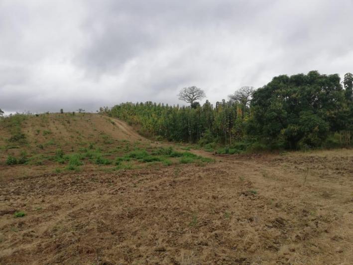 Vendo Propiedad, Vía a La Costa, Embalse Chongon, Guayas — imagen 7