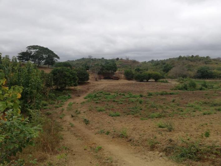Vendo Propiedad, Vía a La Costa, Embalse Chongon, Guayas — imagen 6