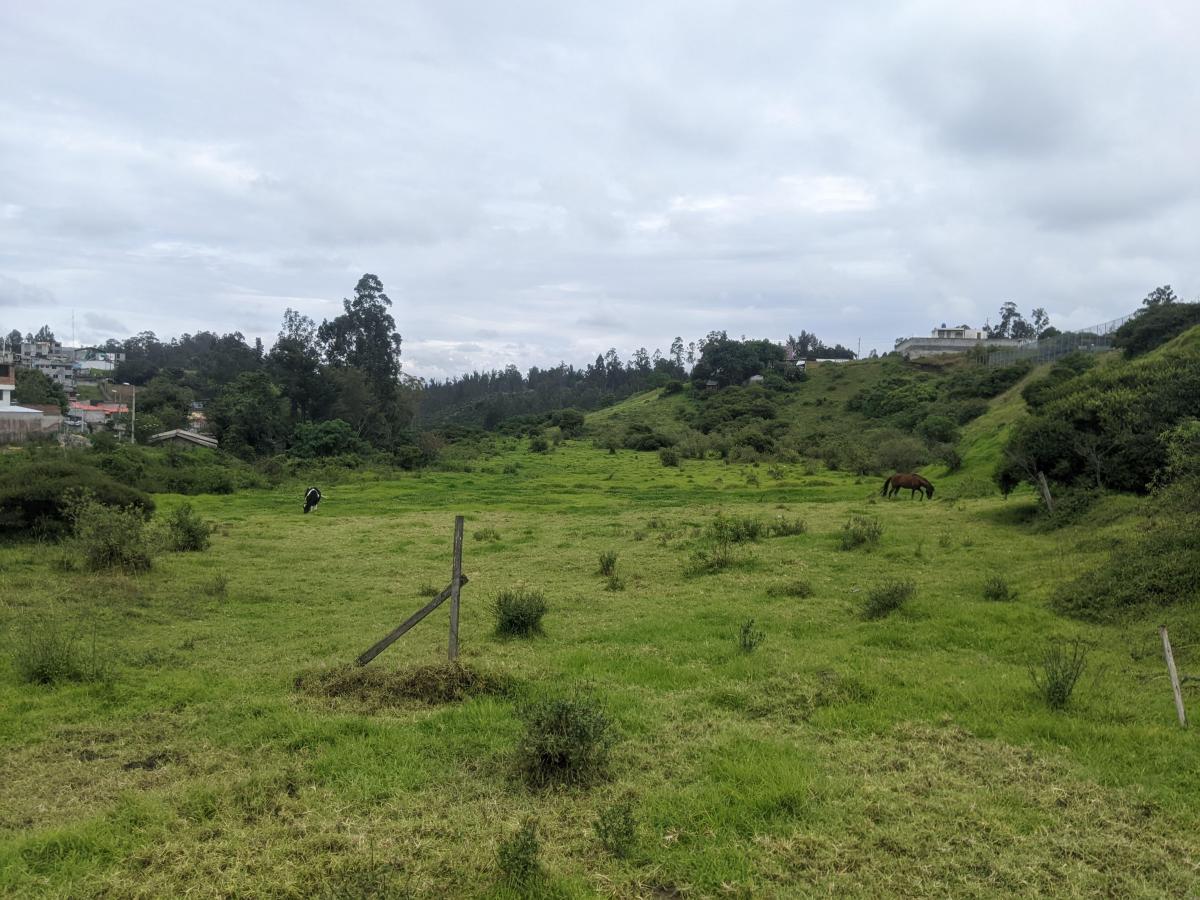 Vendo 600 m en Pifo - Sector Florida de Chantag — imagen 8