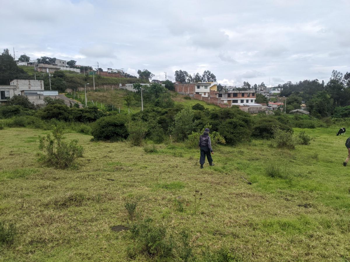 Vendo 600 m en Pifo - Sector Florida de Chantag — imagen 7