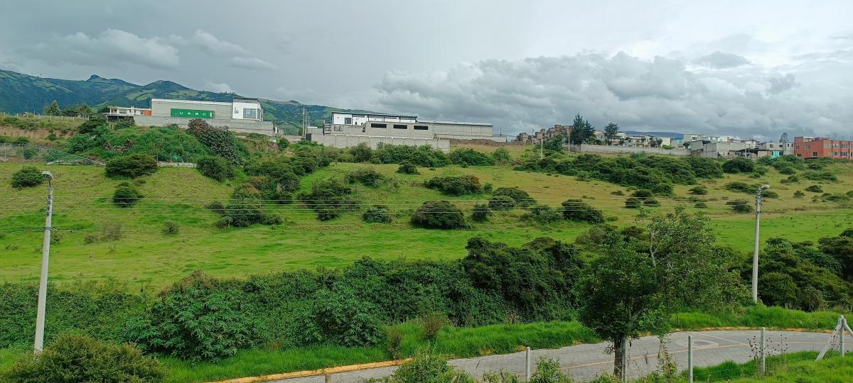 Vendo 600 m en Pifo - Sector Florida de Chantag — imagen 5