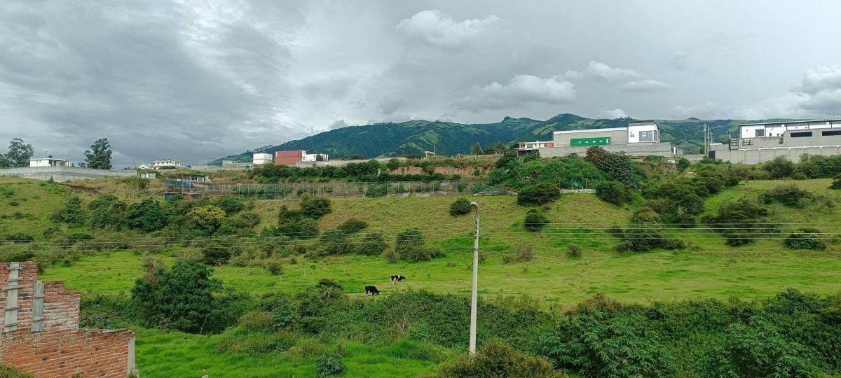 Vendo 600 m en Pifo - Sector Florida de Chantag — imagen 4