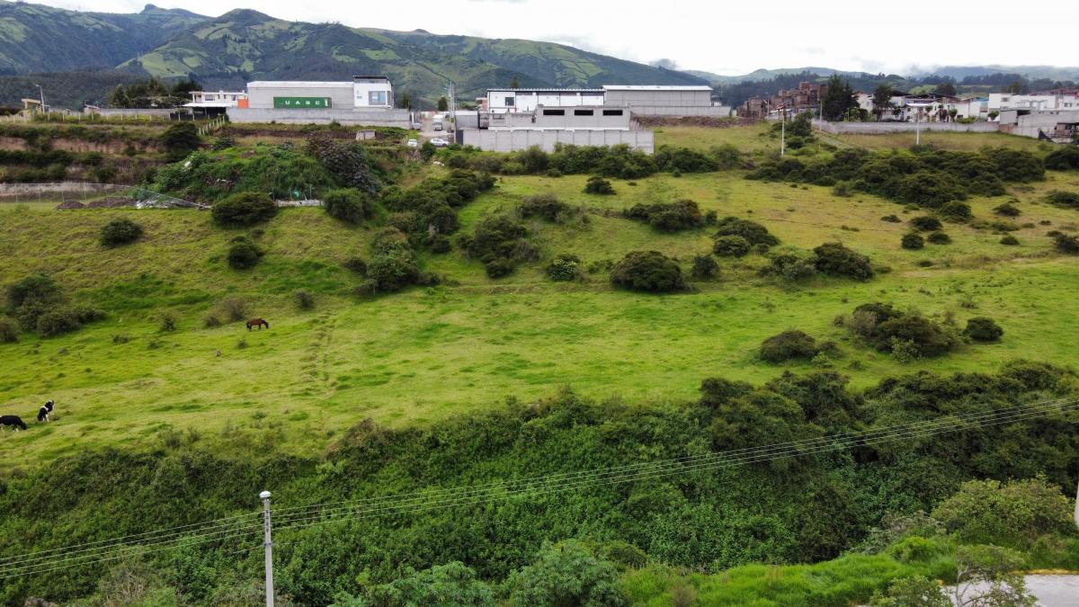 Vendo 600 m en Pifo - Sector Florida de Chantag — imagen 3