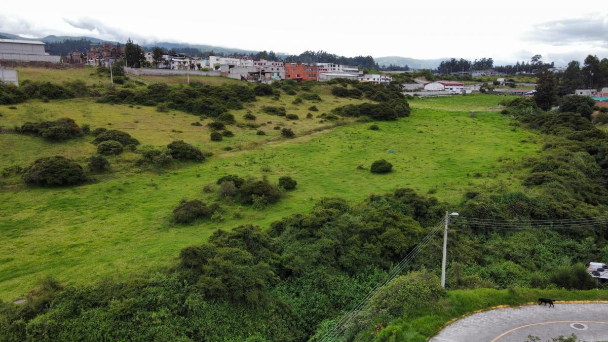 Vendo 600 m en Pifo - Sector Florida de Chantag — imagen 2