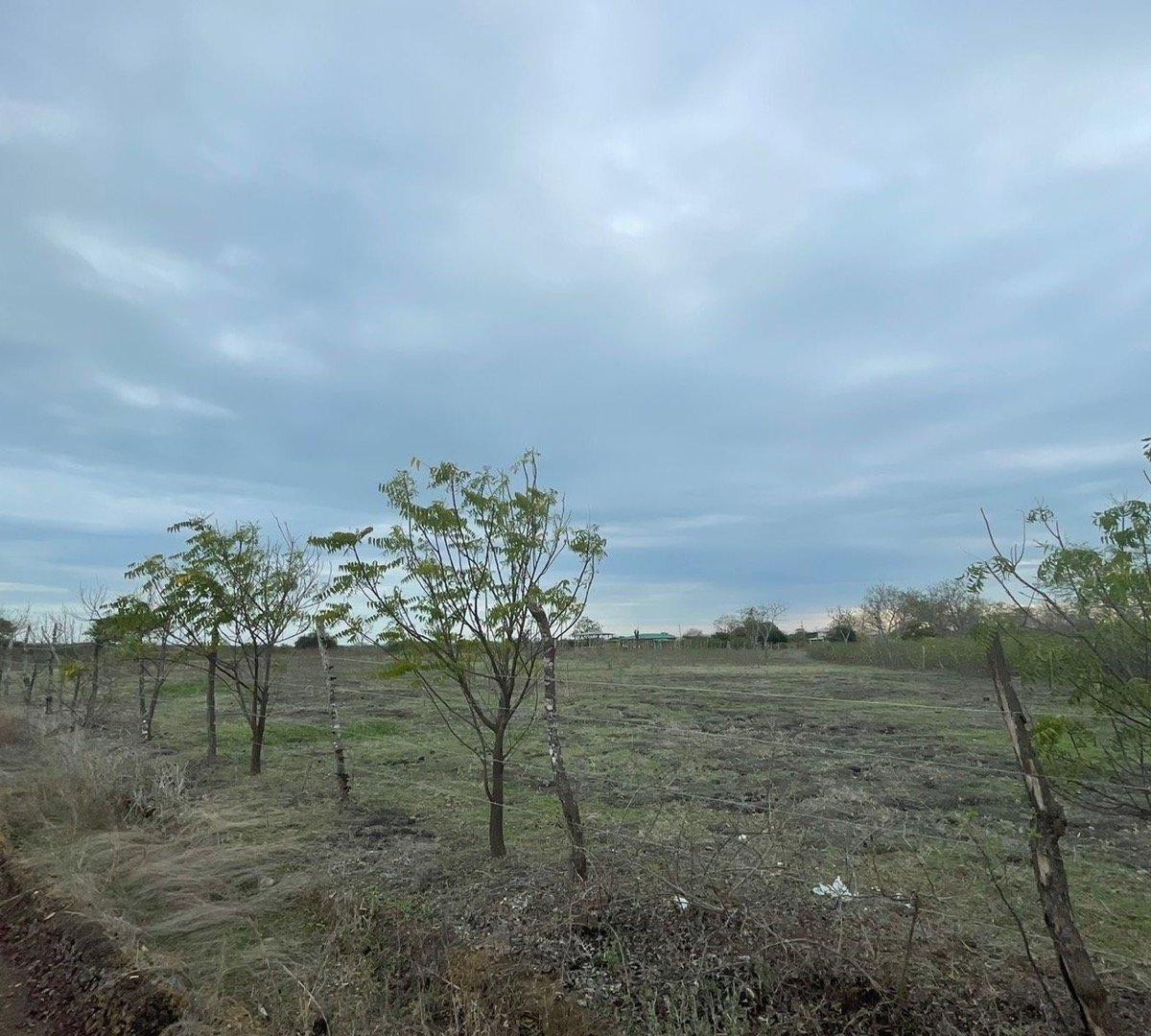 Terreno en venta en Guayaquil, Guayas