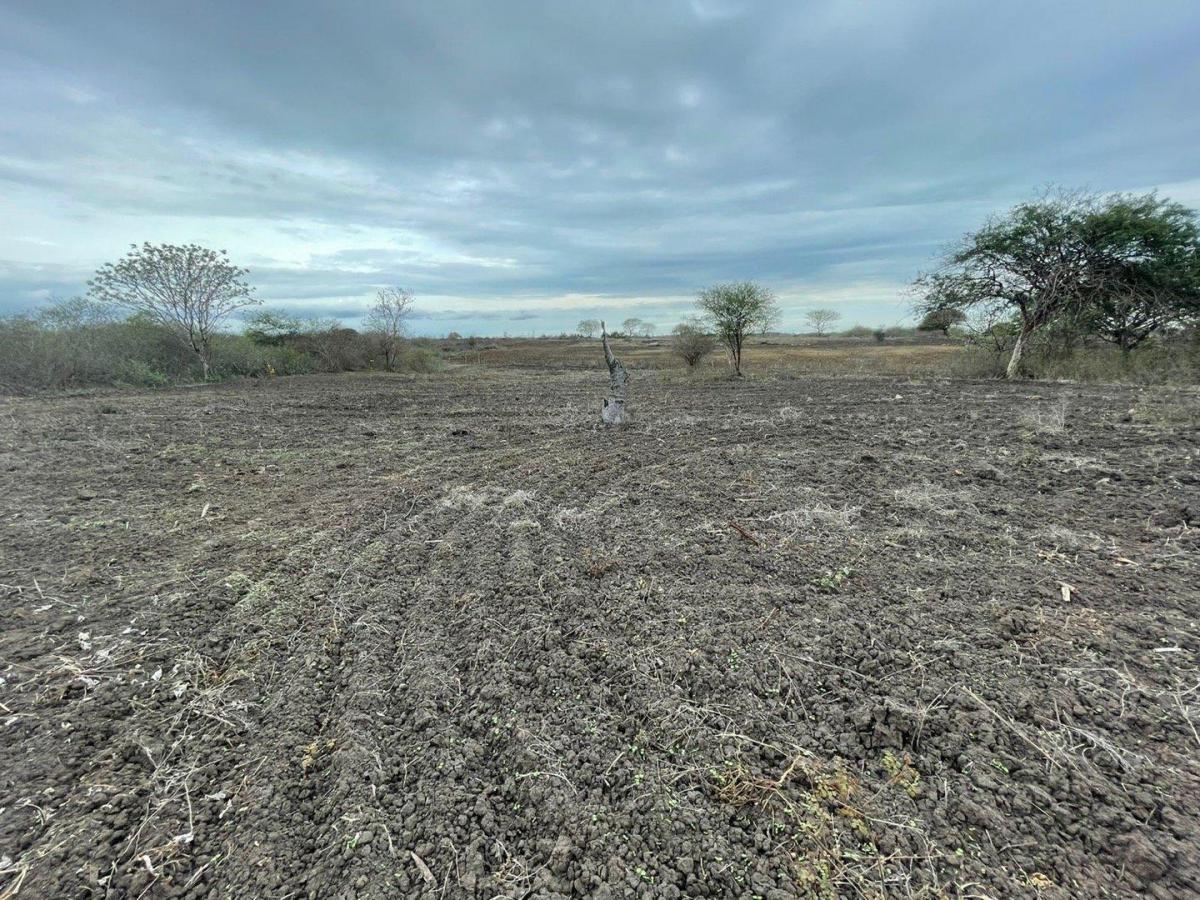 Se Vende Terreno en Km.18 Via Data Psorja, Guayas — imagen 5