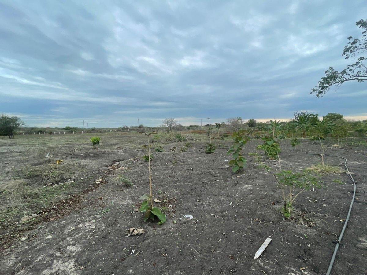 Se Vende Terreno en Km.18 Via Data Psorja, Guayas — imagen 3