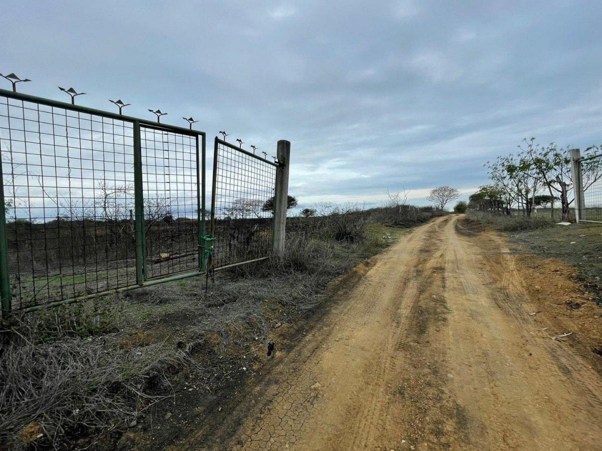 Se Vende Terreno en Km.18 Via Data Psorja, Guayas — imagen 2