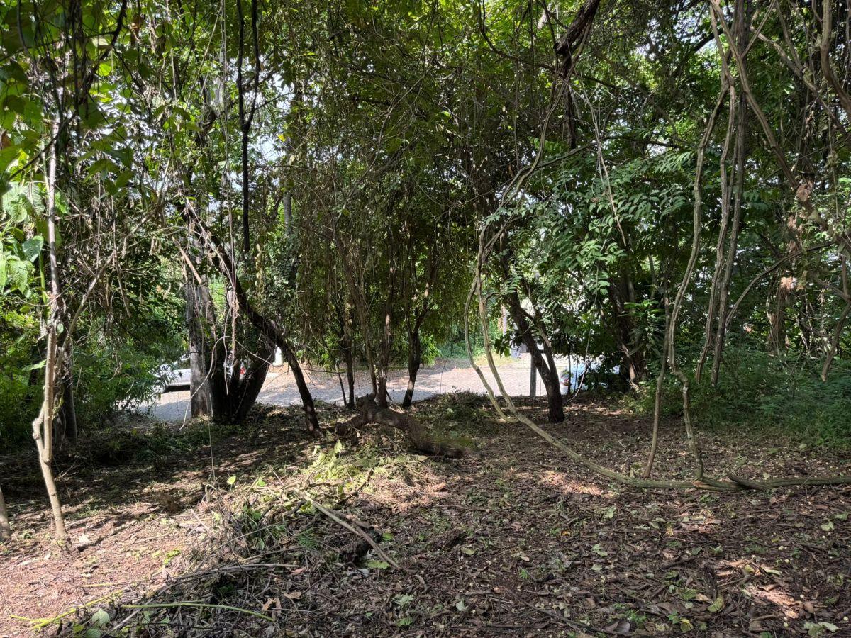 Se Vende Terreno de 399 m² en Urb El Lago de Capeira, Guayaquil, Guayas — imagen 9