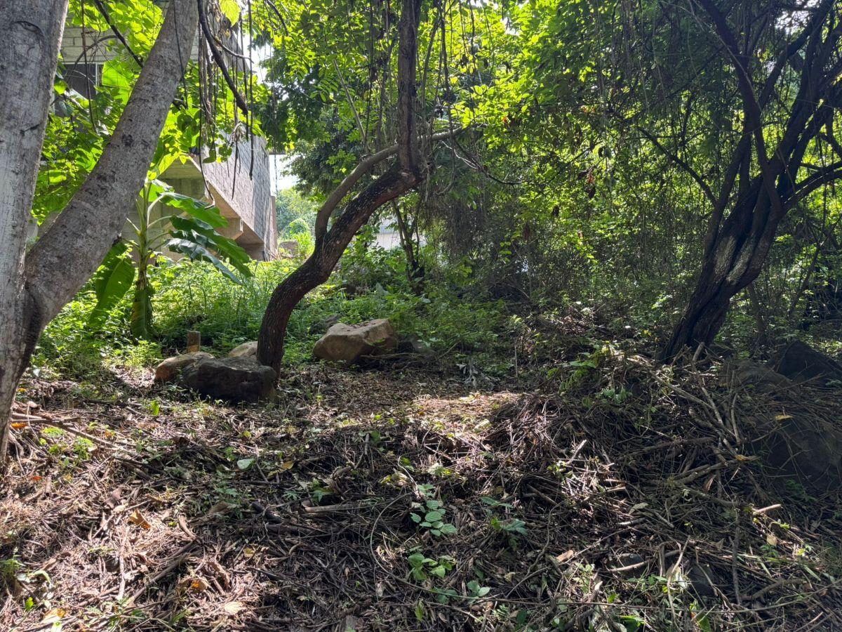 Se Vende Terreno de 399 m² en Urb El Lago de Capeira, Guayaquil, Guayas — imagen 8
