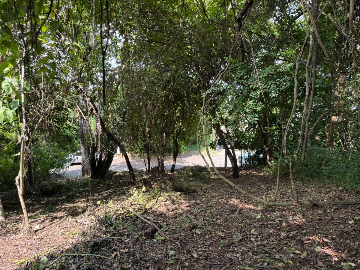 Se Vende Terreno de 399 m² en Urb El Lago de Capeira, Guayaquil, Guayas — imagen 7