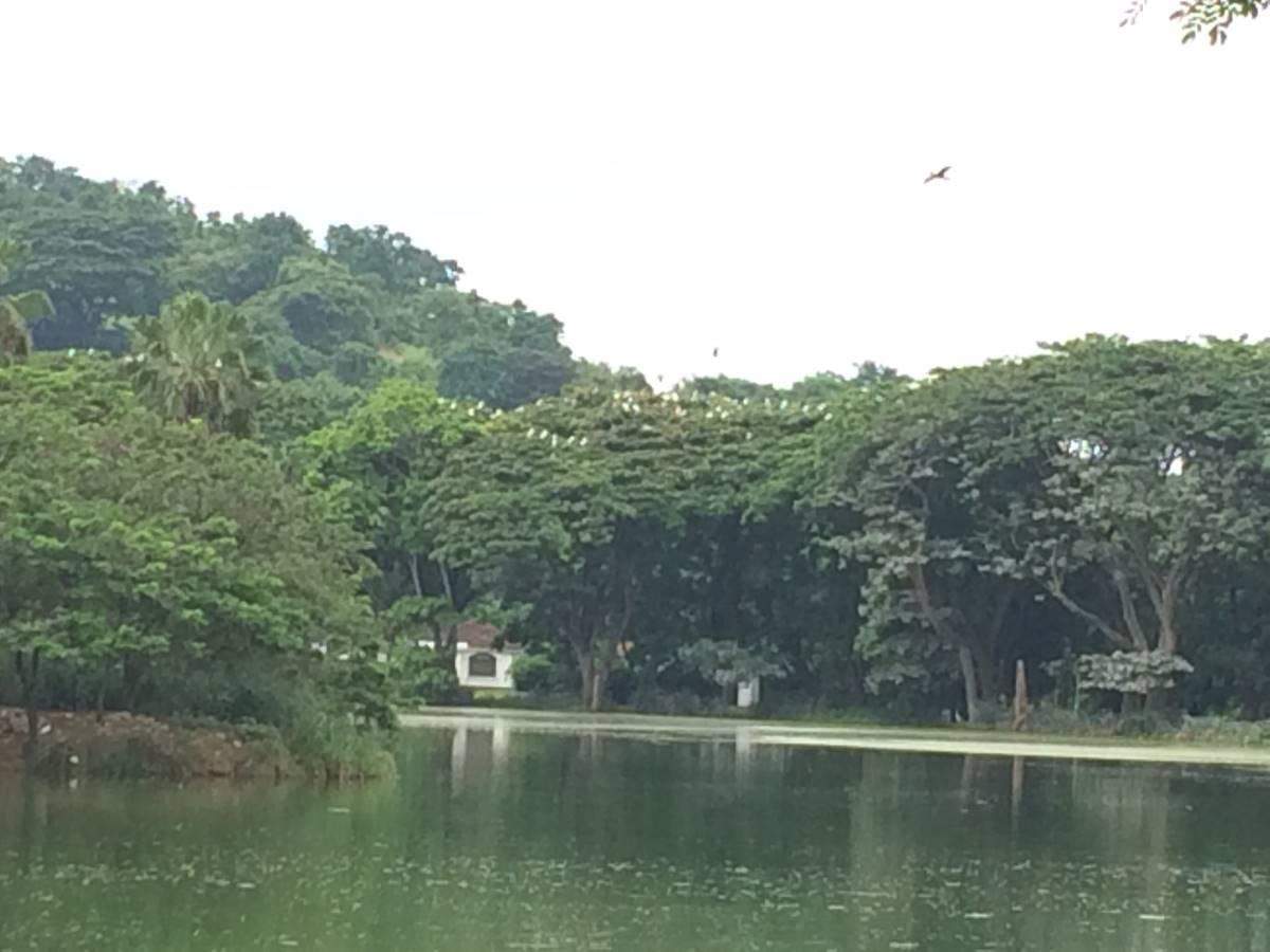 Se Vende Terreno de 399 m² en Urb El Lago de Capeira, Guayaquil, Guayas — imagen 2
