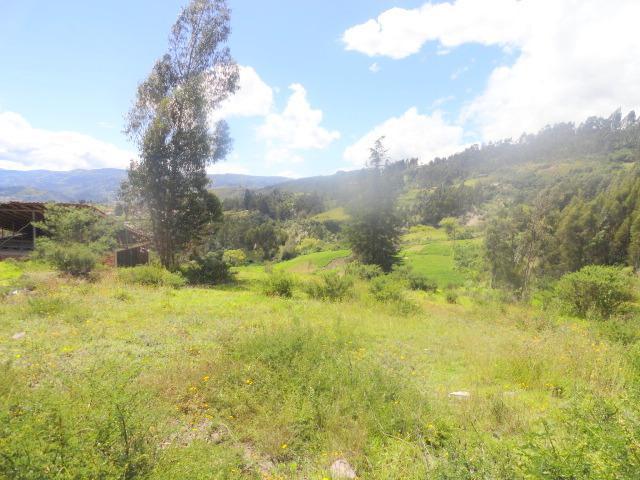 Hacienda 10 Hectáreas Challuabamba Alto, Azuay — imagen 7