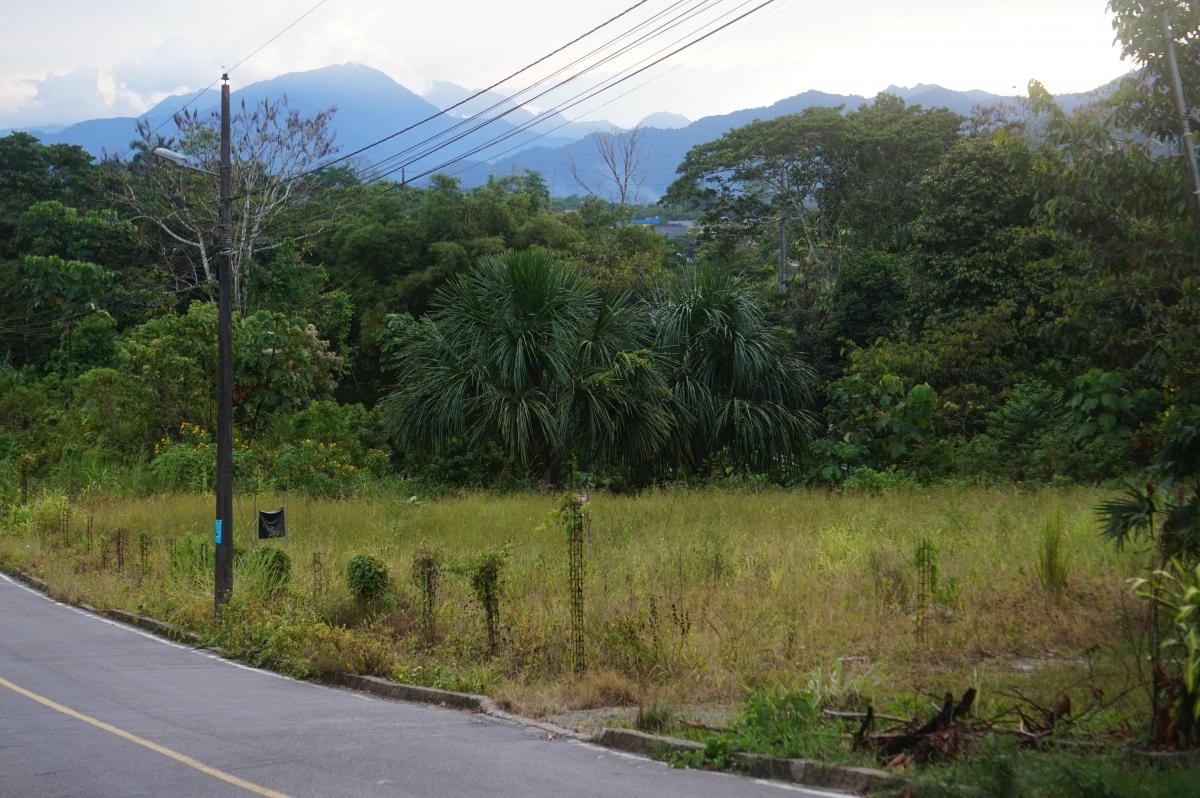 Tena - Vendo Terreno - Sector Rio Tena - Las Yerbitas, Napo — imagen 9
