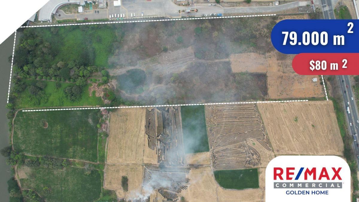 Terreno en Venta Via a Daule 79.000 m², Guayas — imagen 3