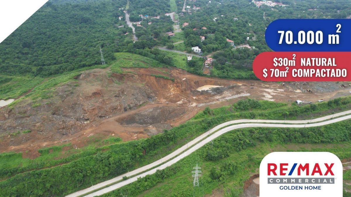 Terreno en Venta Via a Daule de 70.000 m², Guayas — imagen 2