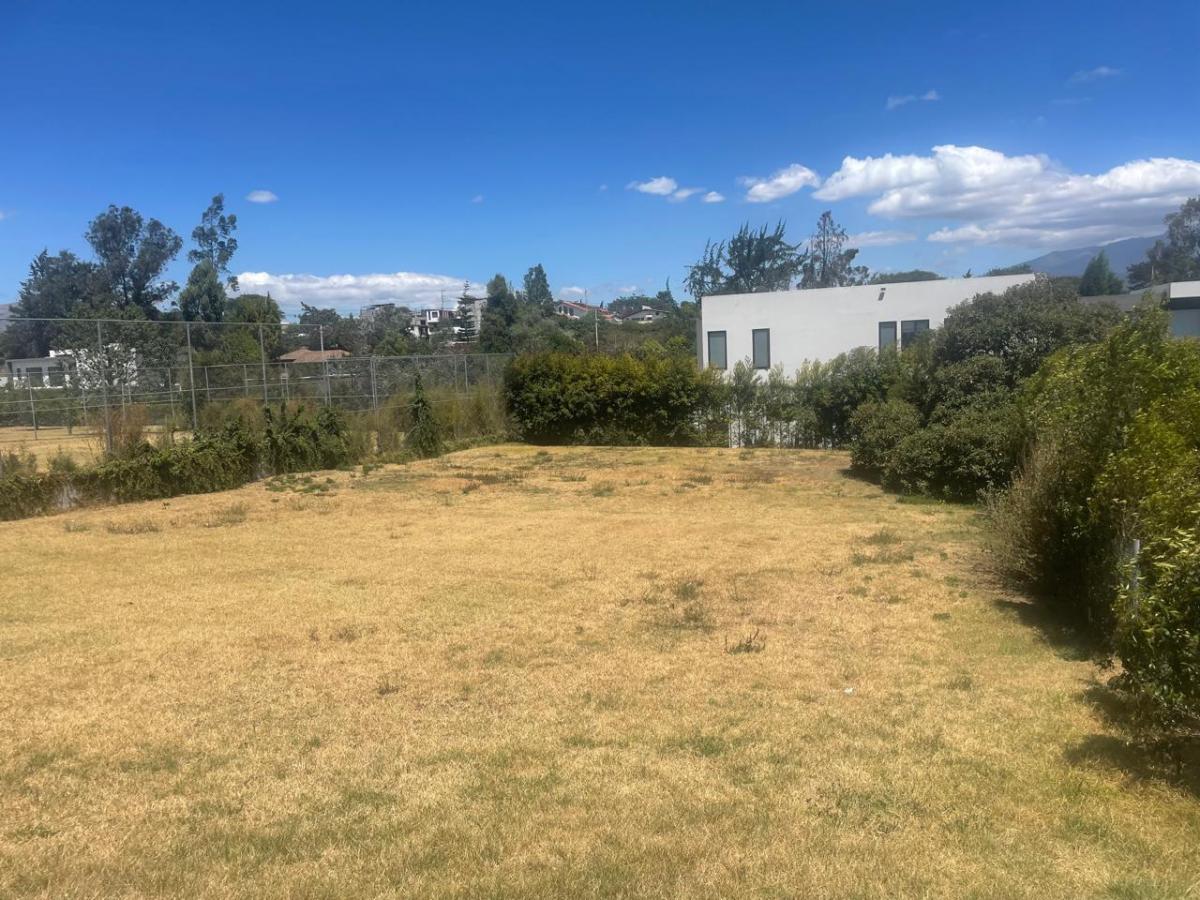 Vendo Bonito Terreno Bien Ubicado - Sector Puembo — imagen 5