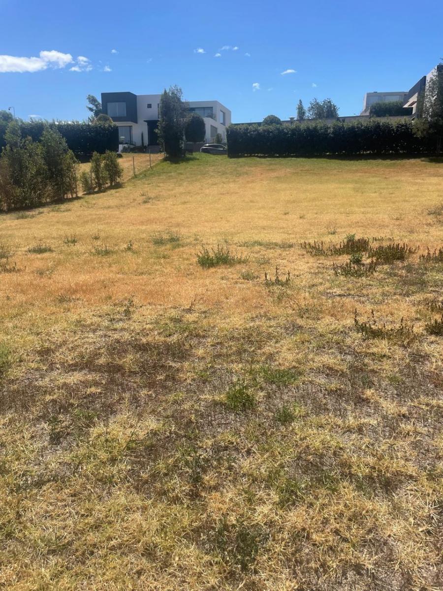 Vendo Bonito Terreno Bien Ubicado - Sector Puembo — imagen 3