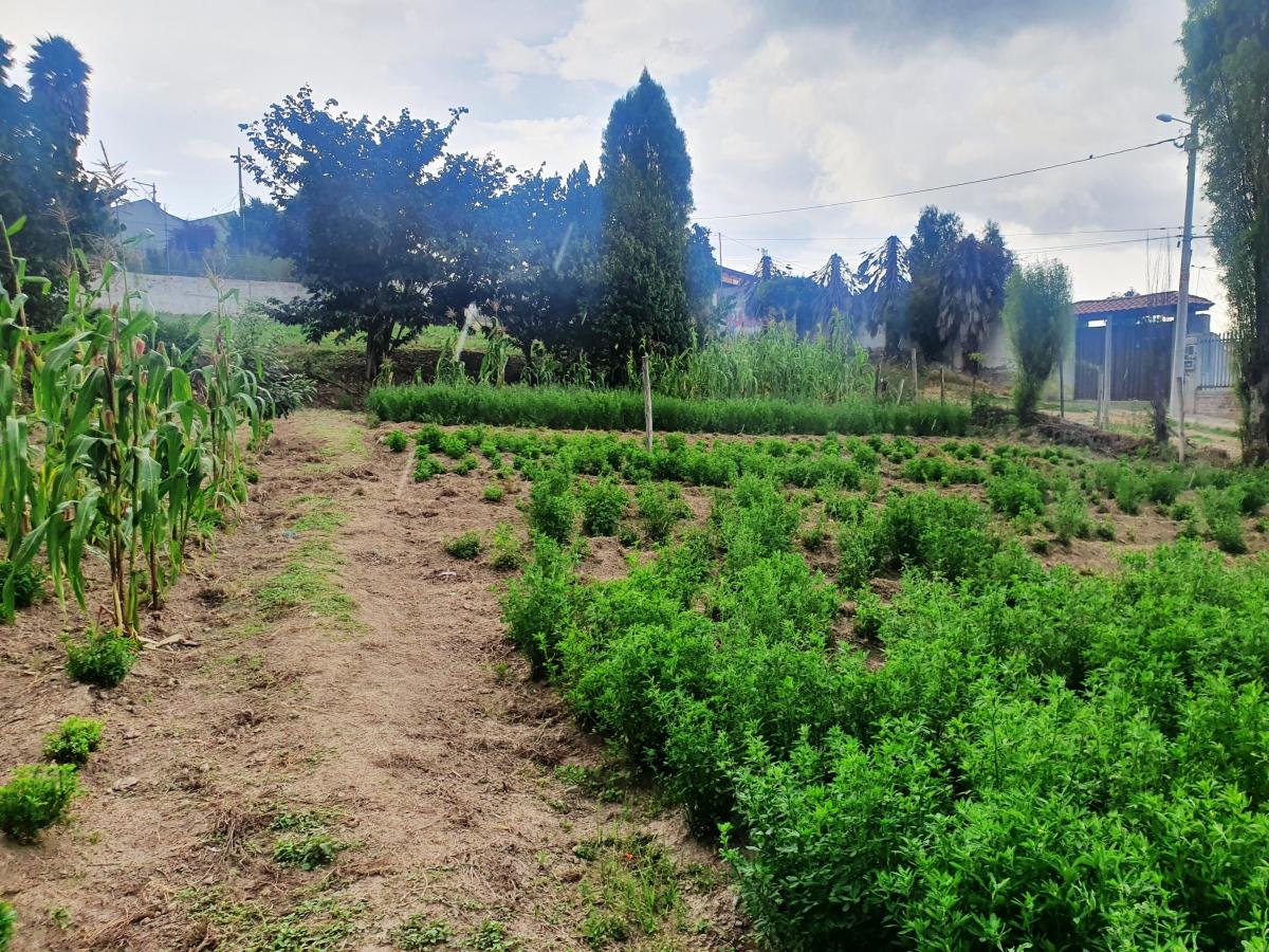 Terreno en Venta en Tumbaco Sector El Carrizal — imagen 8
