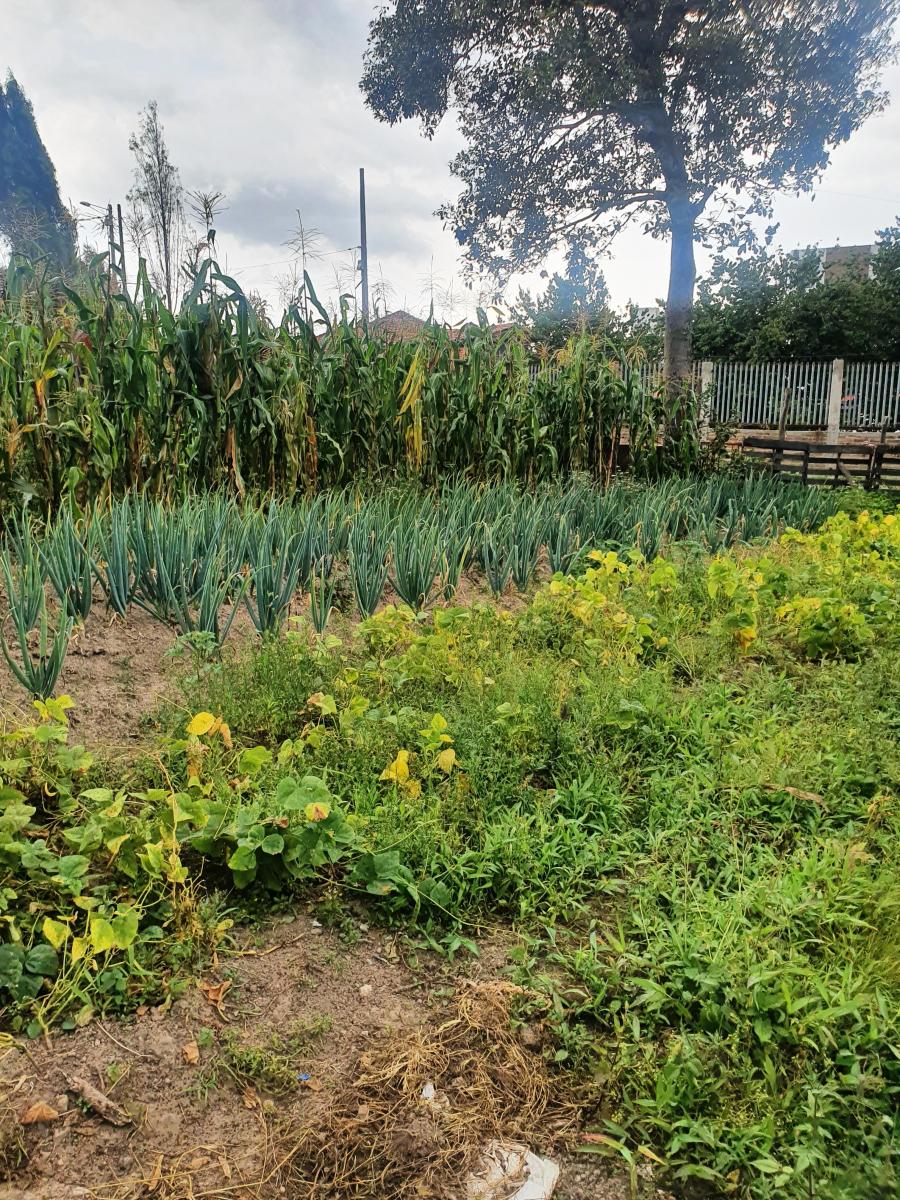 Terreno en Venta en Tumbaco Sector El Carrizal — imagen 7