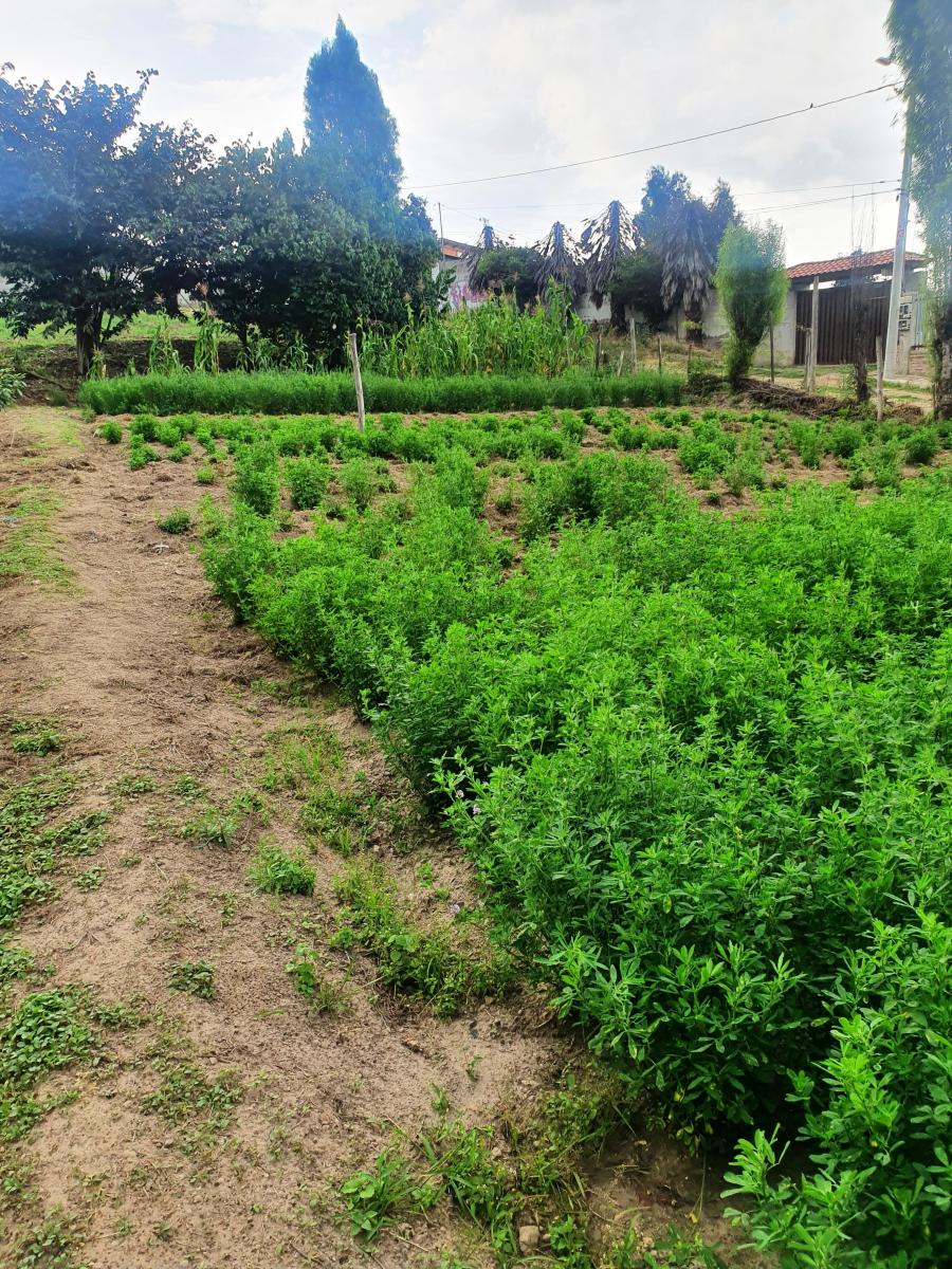 Terreno en Venta en Tumbaco Sector El Carrizal — imagen 2