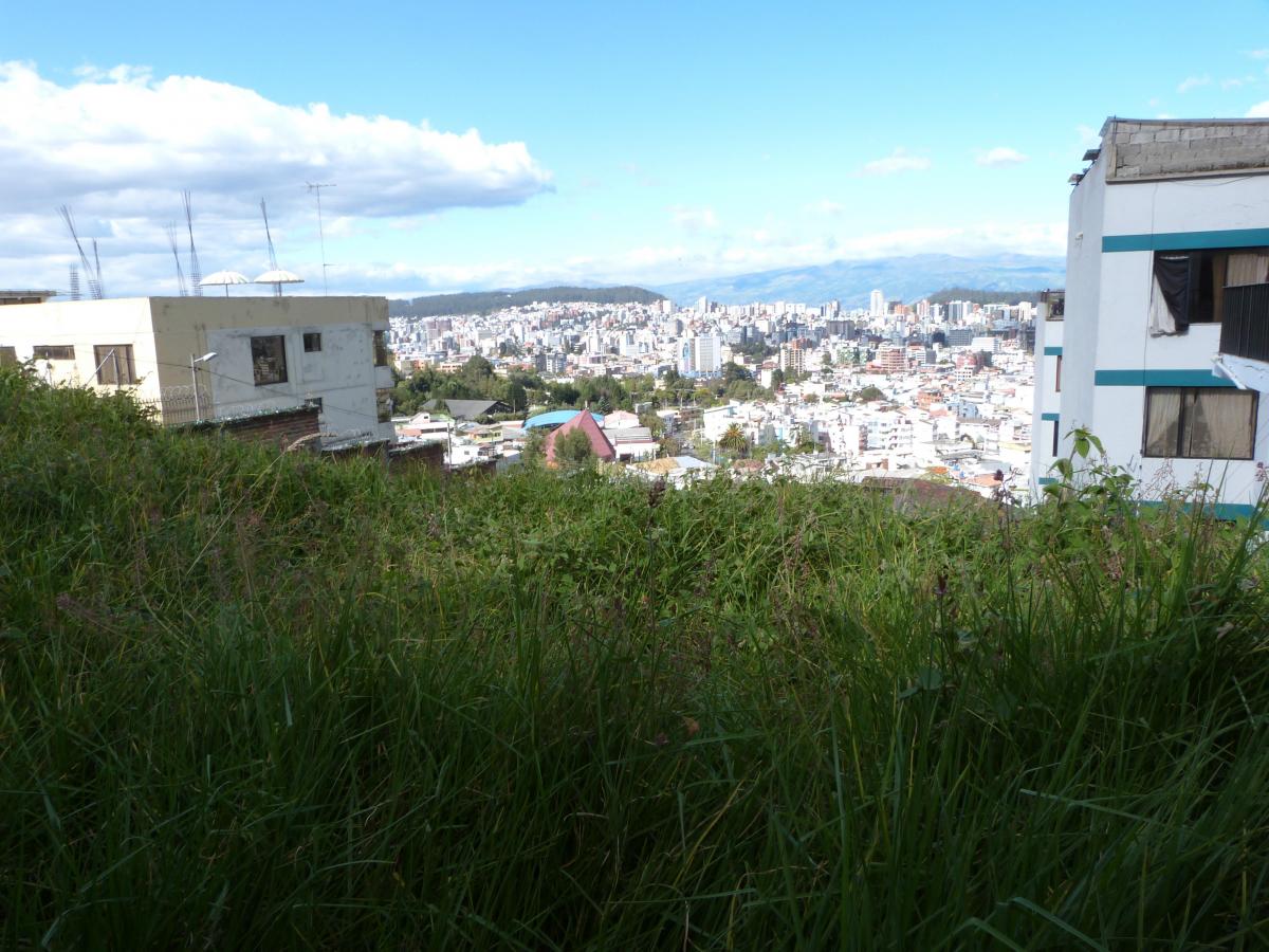 Terreno de Venta Sector Univer. Central, Piscina Miraflores Inclinacion — imagen 10