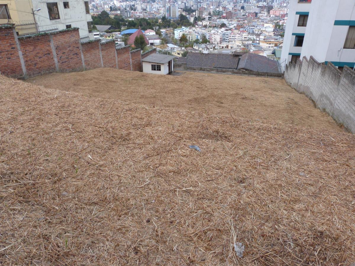 Terreno de Venta Sector Univer. Central, Piscina Miraflores Inclinacion — imagen 9