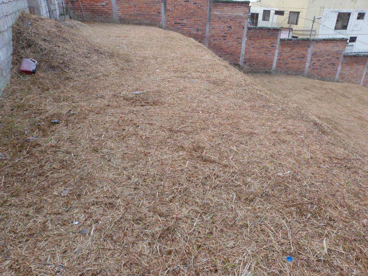 Terreno de Venta Sector Univer. Central, Piscina Miraflores Inclinacion — imagen 8