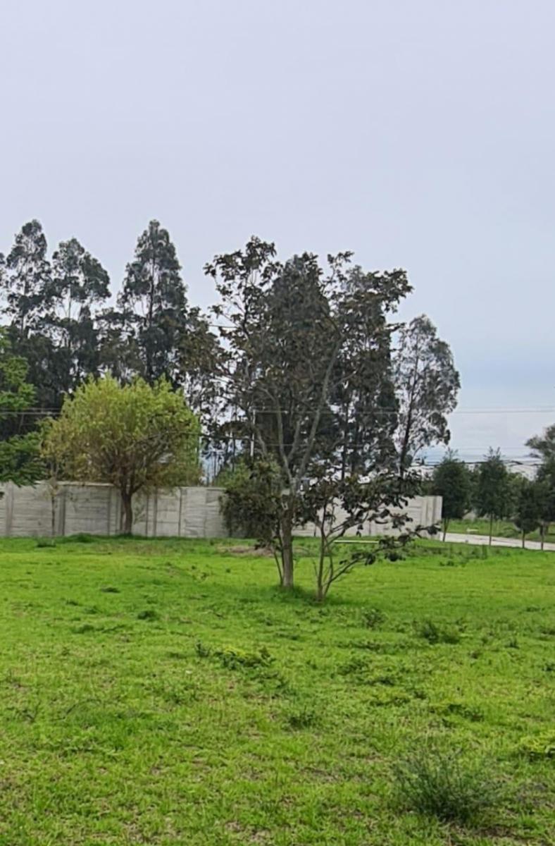Terrenos en Venta en Puembo Dentro de Urbanizacion 570 m — imagen 9
