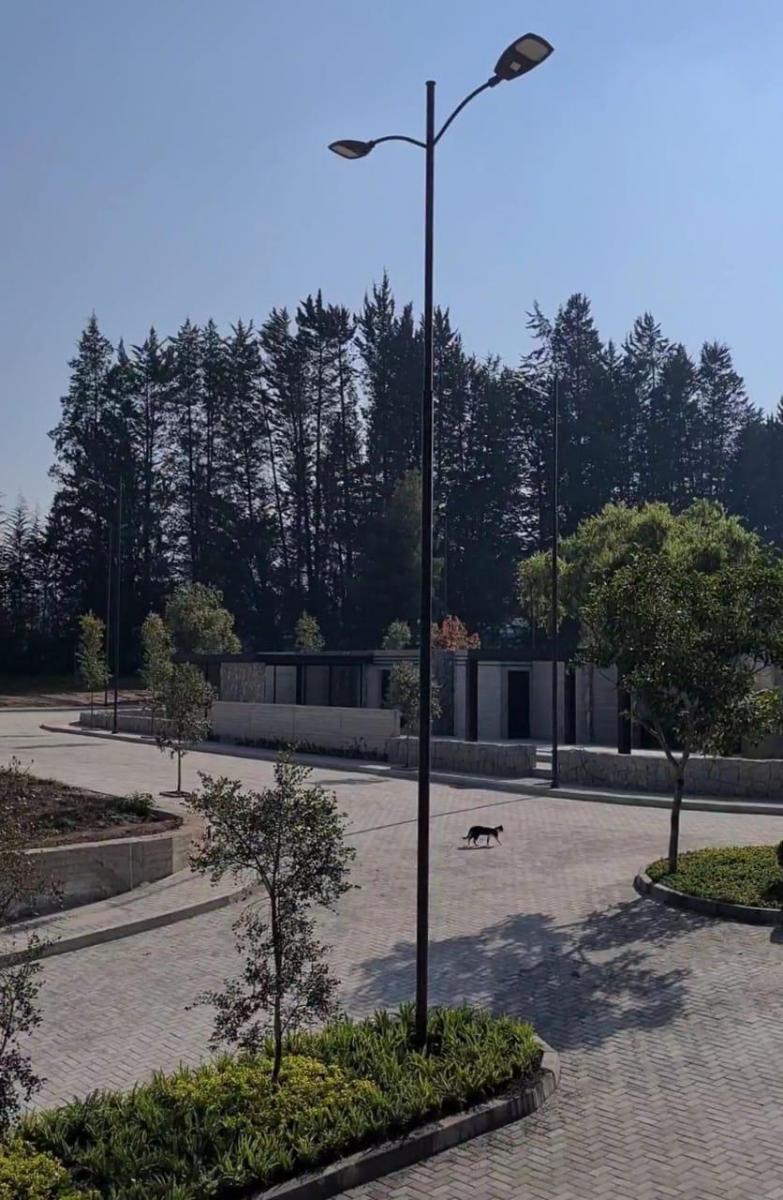 Terrenos en Venta en Puembo Dentro de Urbanizacion 570 m — imagen 6