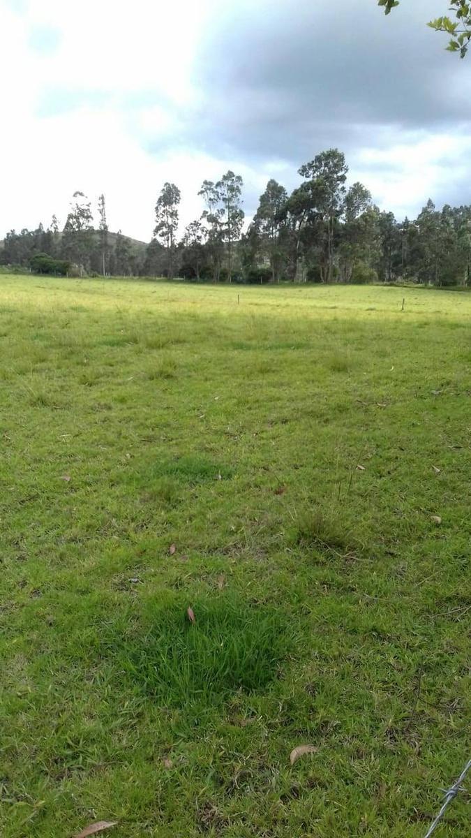 Terreno en Los Chillos de Venta 10 Hectáreas — imagen 4