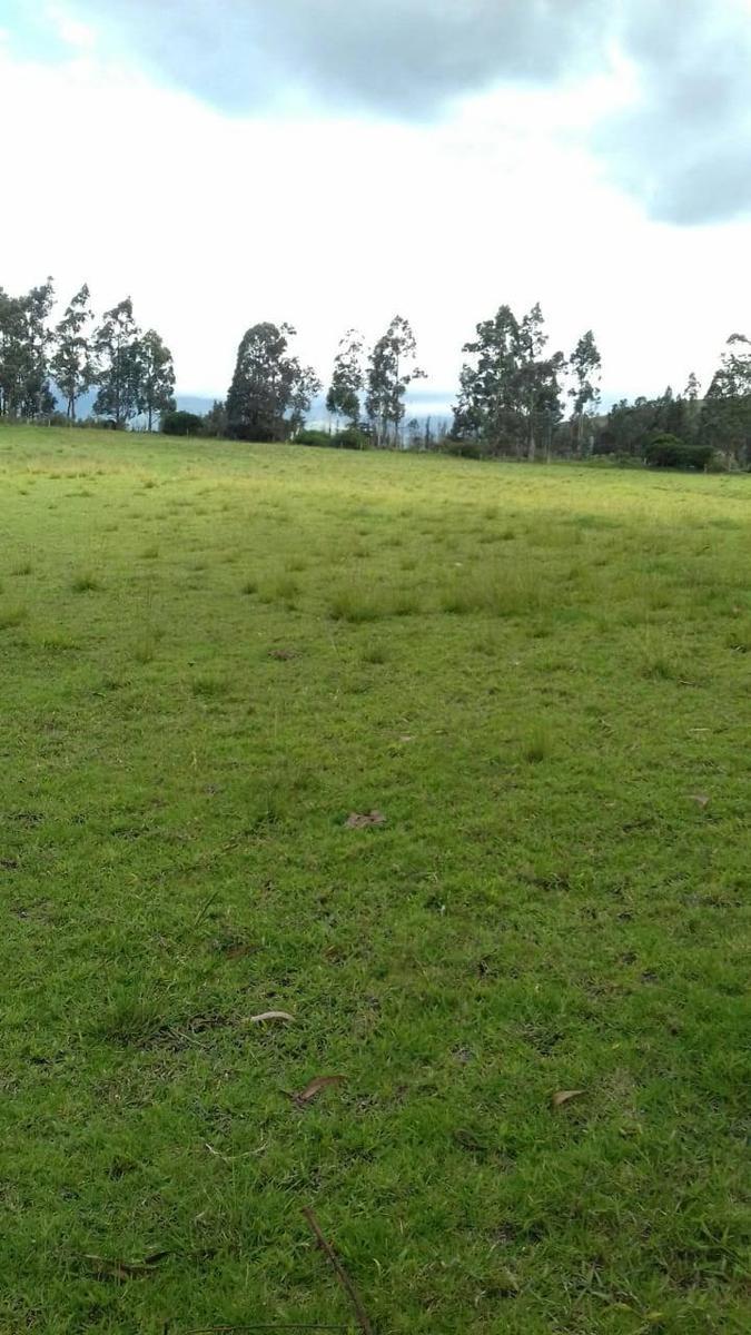 Terreno en Los Chillos de Venta 10 Hectáreas — imagen 3
