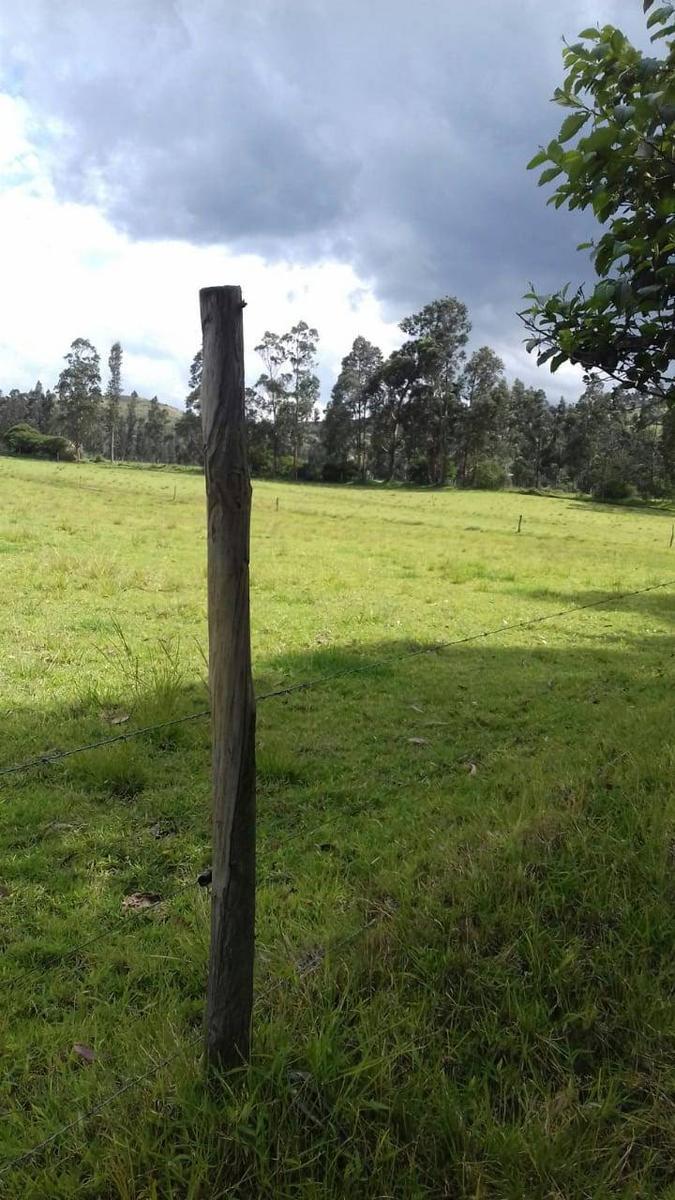 Terreno en Los Chillos de Venta 10 Hectáreas — imagen 2