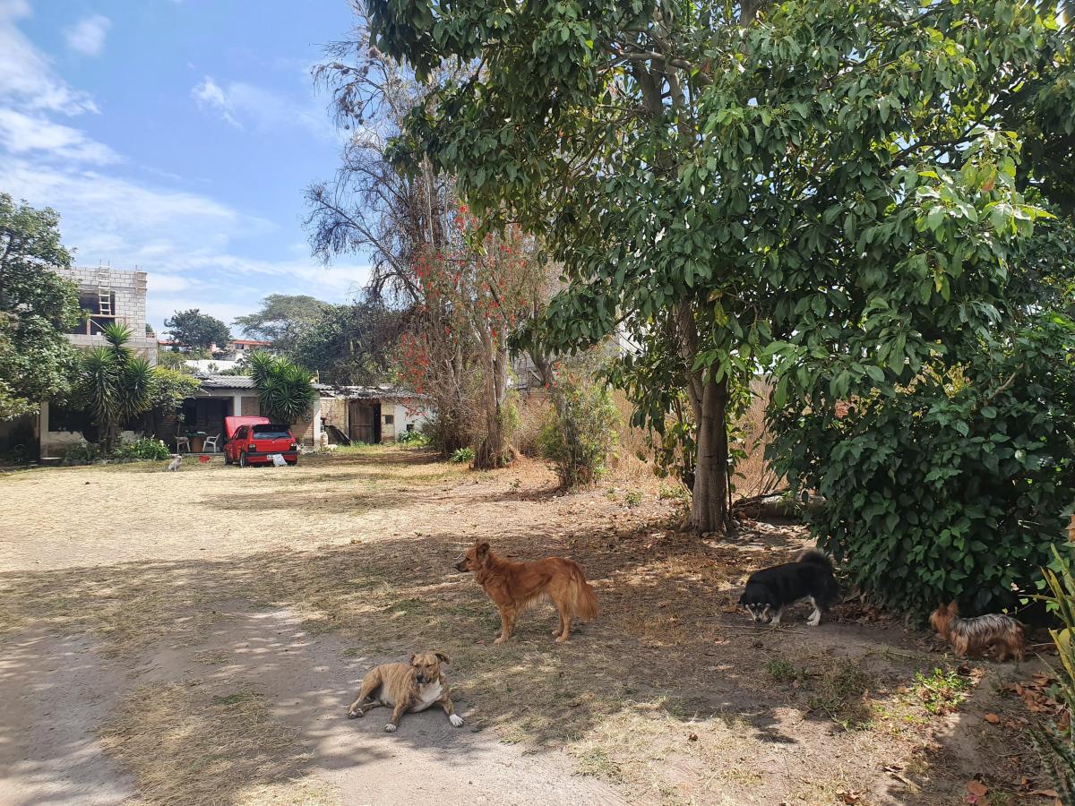 "Terreno en Venta en Derechos y Acciones en Collaquí, Tumbaco - 820 M²" — imagen 10