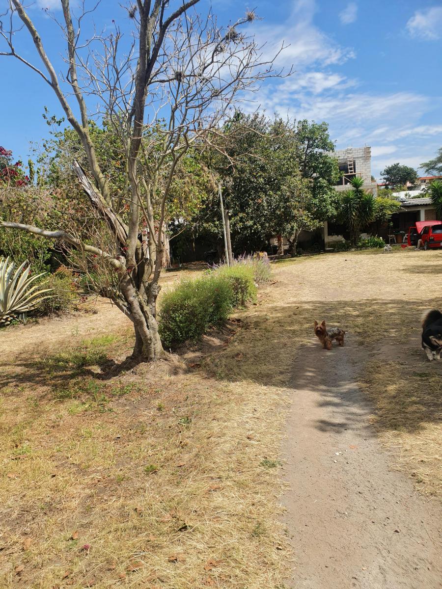 "Terreno en Venta en Derechos y Acciones en Collaquí, Tumbaco - 820 M²" — imagen 8