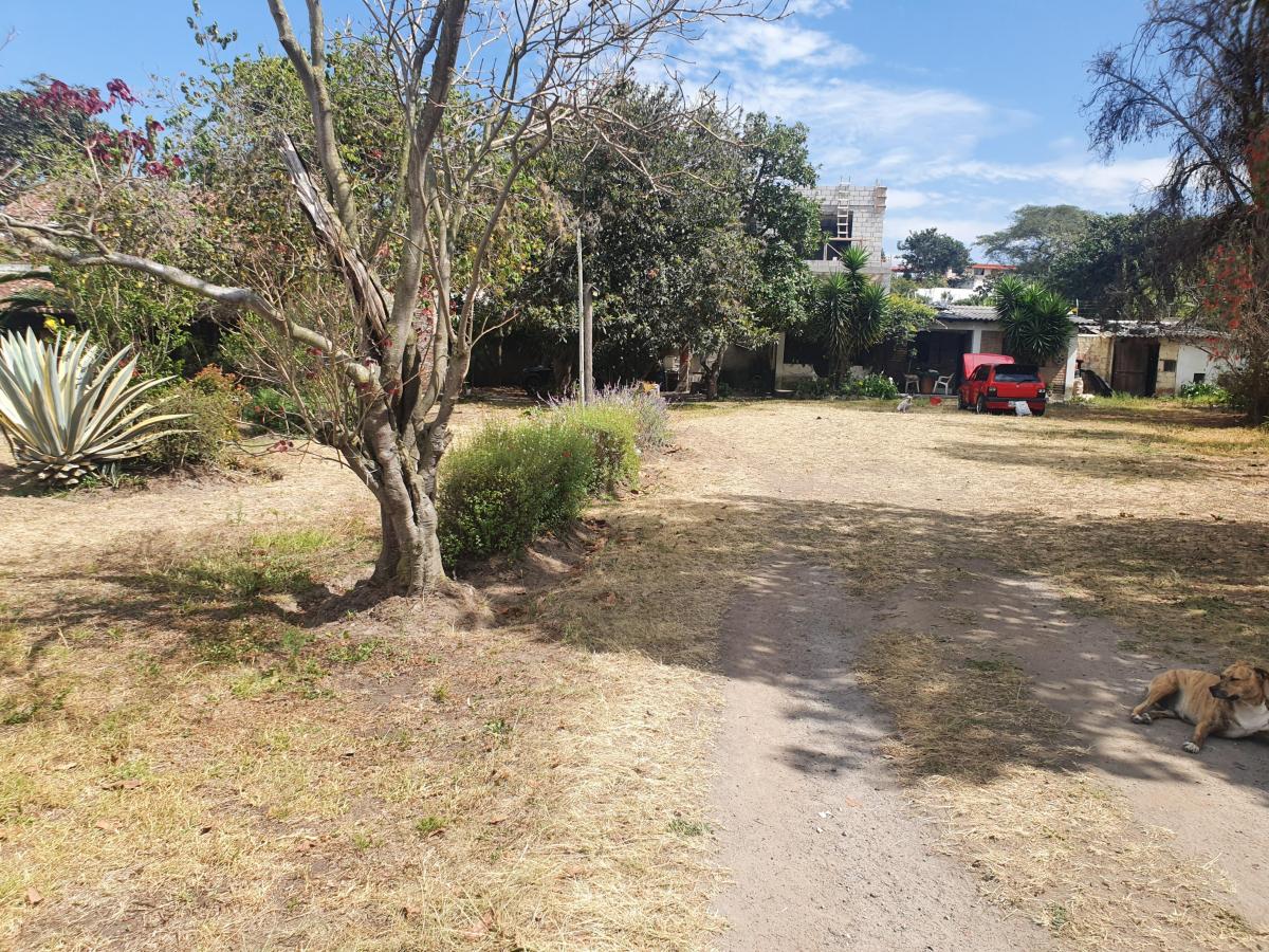"Terreno en Venta en Derechos y Acciones en Collaquí, Tumbaco - 820 M²" — imagen 7