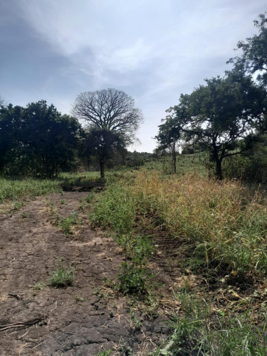 Terreno en Venta en Vía a La Costa - N. Dorado, Guayas — imagen 5