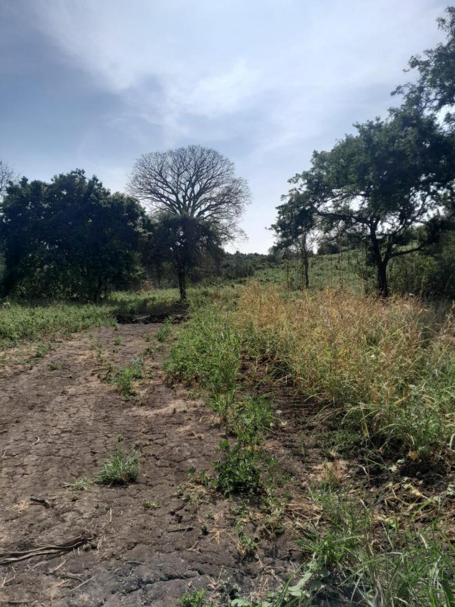 Terreno en Venta en Vía a La Costa - N. Dorado, Guayas — imagen 3