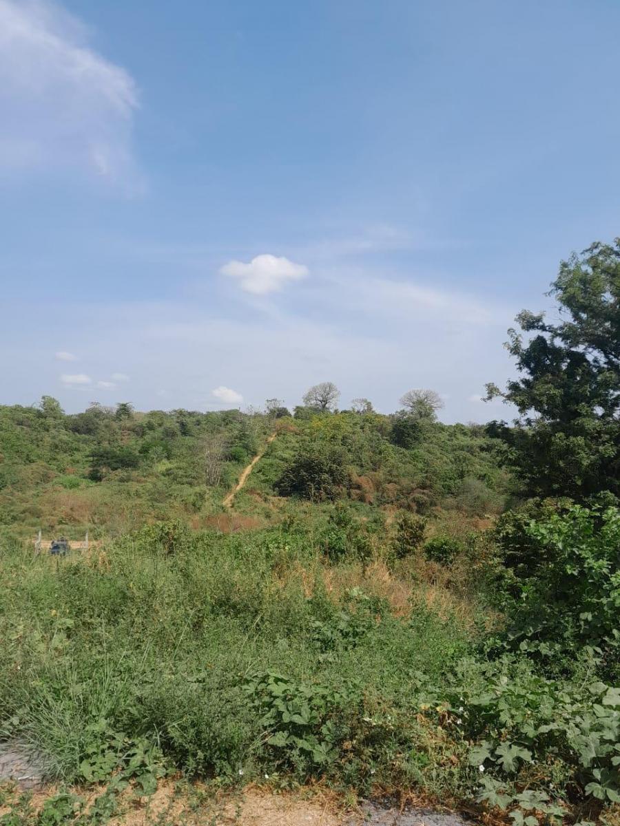 Terreno en Venta en Vía a La Costa - N. Dorado, Guayas — imagen 2