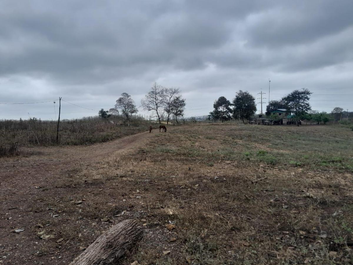 Terreno en Venta en Vía a La Costa - N. Dorado, Guayas — imagen 8