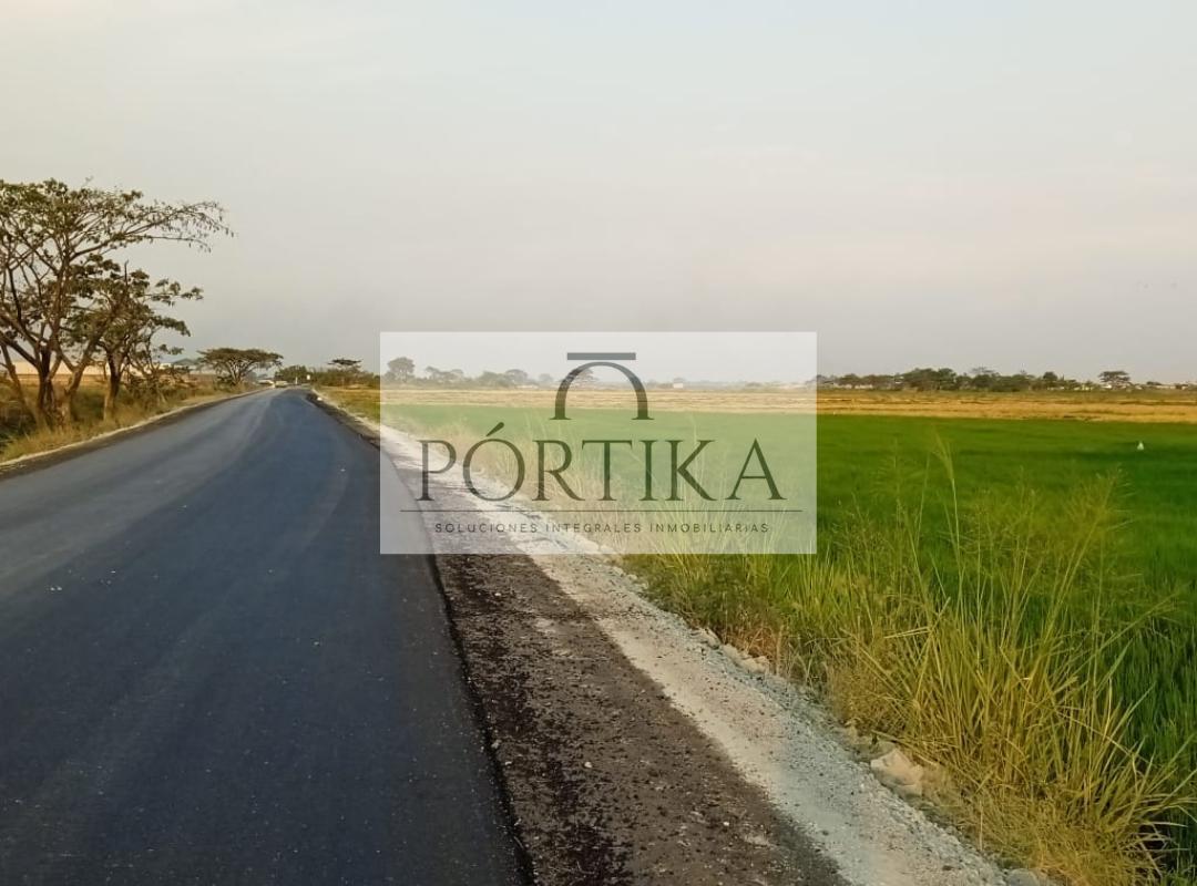 Venta Terreno - La Aurora - Km 6. /2 Vía Salitre, Guayas — imagen 8