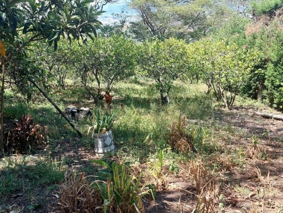 Se Vende Terreno 6 Mil m Construccion Obra Gris Sector Tumbaco — imagen 7